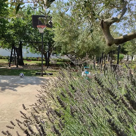 Draga Apartman