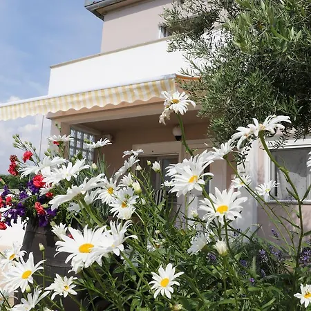 Apartman Draga Zaton (Zadar)