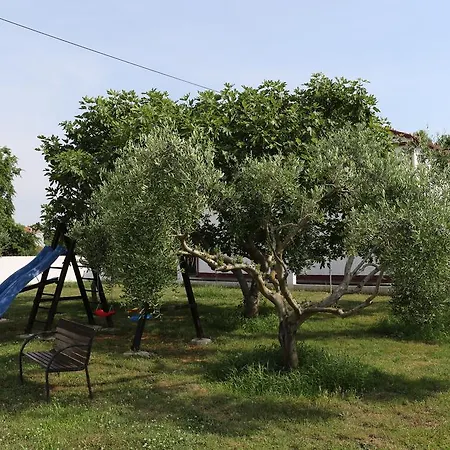 Draga Apartman Zaton (Zadar)