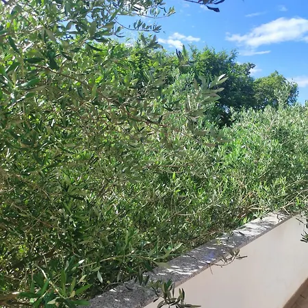 Апартаменты Draga Затон