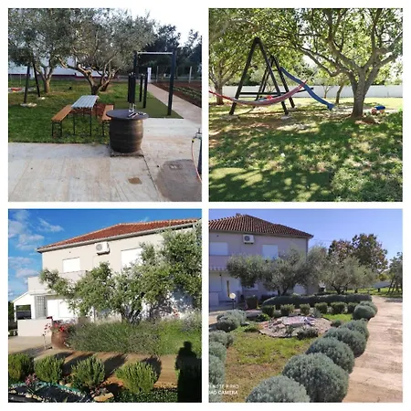 Апартаменты Draga