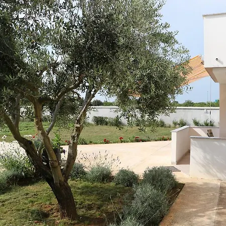 Draga Апартаменты