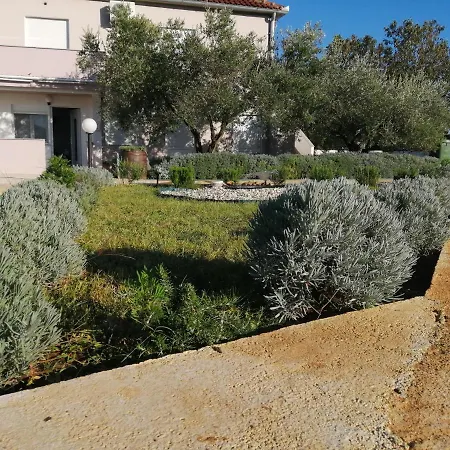 Draga Апартаменты Затон