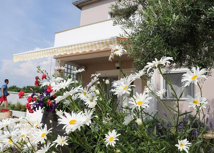 Apartman Draga Zaton